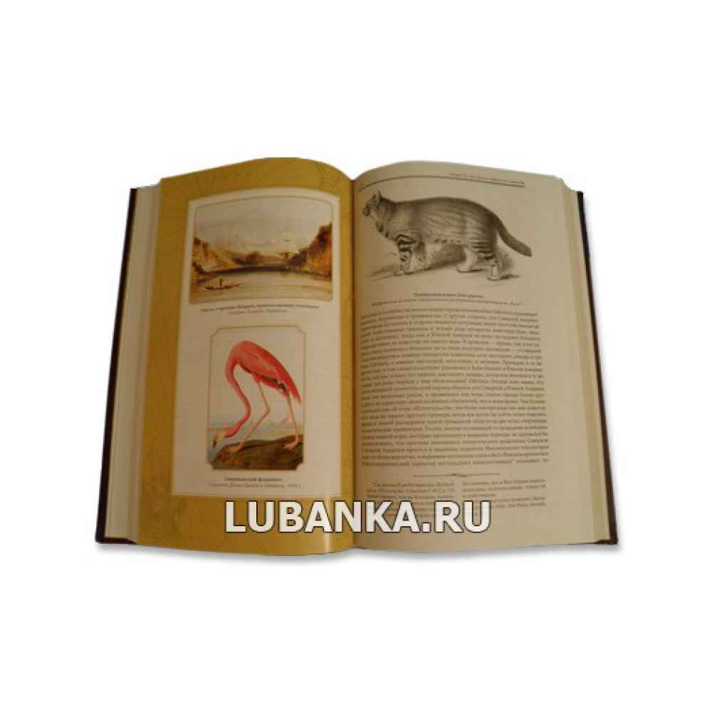 Книга «Великие путешественники Чарлз Дарвин»